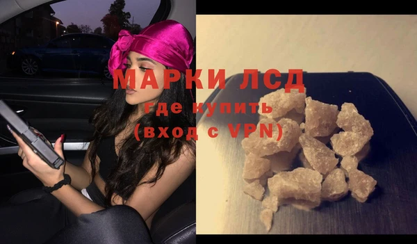 гашик Липки