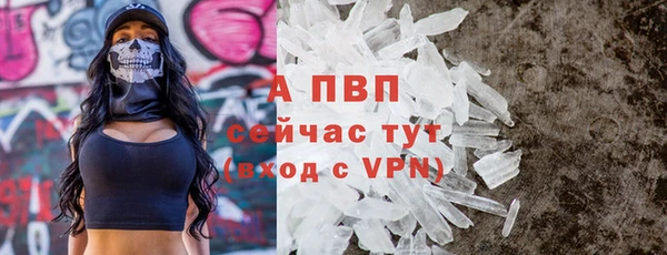 гашик Липки