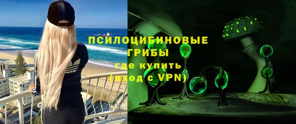 гашик Липки