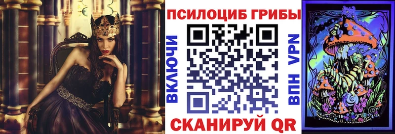сколько стоит  Щёлкино  Галлюциногенные грибы мухоморы 